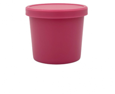 POTE PP FUCSIA 100ml